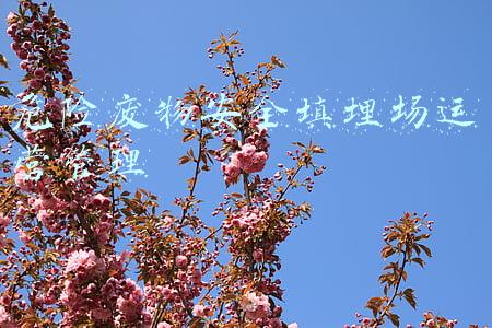危险废物安全填埋场运营管理