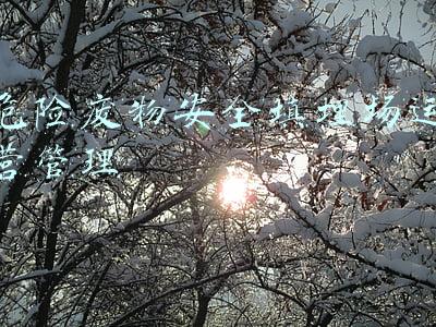 危险废物安全填埋场运营管理