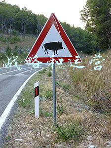 企业战略与运营的关系(在战略解码时，如何构建关键成功要素？)