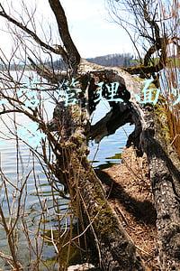 公司运营问题及对策分析(如何运营成功的智库：5个战略性问题决定一切)