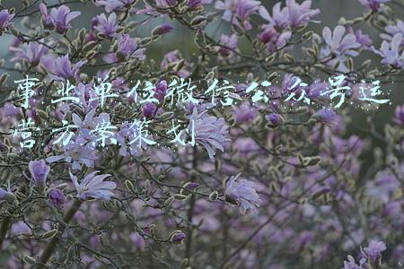 事业单位微信公众号怎么创建(2022年度省属事业单位要招聘了！附简章、岗位表)