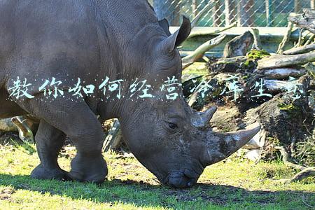 冷库的运营计划方案(冷库经营方案)