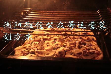 衡阳微信公众号运营策划方案