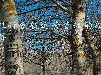 银行创新运营管理的理解