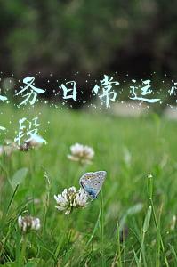 物业服务企业对管理区域内的什么进行维护管理(开发遗留问题，物业公司该不该背锅？担责被罚冤不冤？)