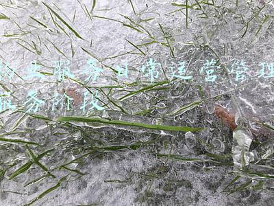 物业服务日常管理制度(2021物业服务公司合同管理制度)