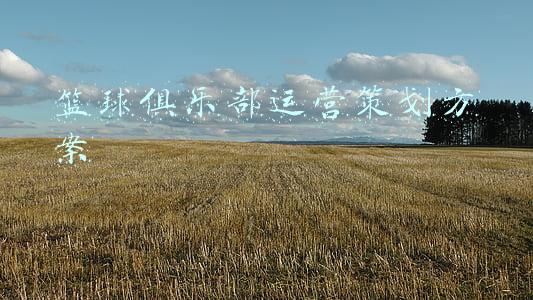 篮球俱乐部运营策划方案