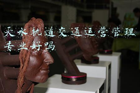 天水轨道公司(天水市轨道公司推进有轨电车二期项目建设)