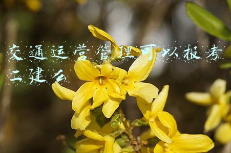 交通运营管理课程(当好中国现代化的开路先锋——多部门详解《“十四五”现代综合交通运输体系发展规划》)