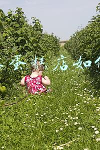 蛋糕店经营策略 蛋糕店经营策略书有哪些