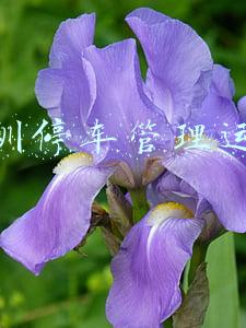 深圳停车管理运营