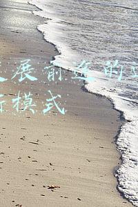 最有发展前途的运营管理的新模式