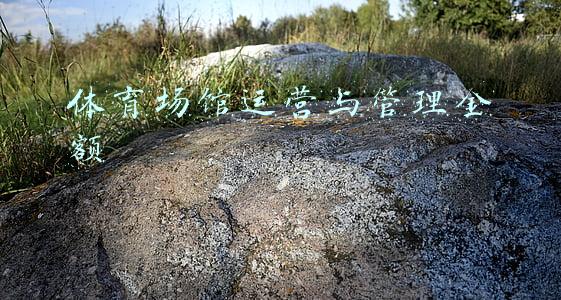体育场馆运营与管理金额