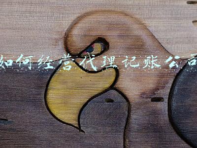注册代理记账公司流程（如何开办代理记账公司）