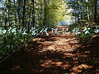 代理记账公司经营理念;代理记账公司经营理念及服务宗旨