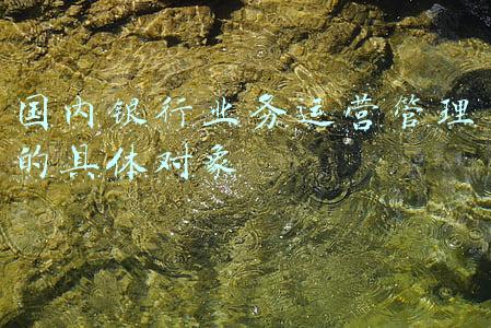 国内银行业务运营管理的具体对象