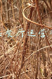 湘菜餐厅运营管理