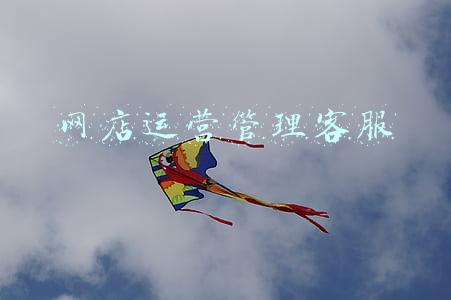 网店客服怎么做(客服是网店的第一战线，不能草率：14页客服工作流程与岗位说明书)