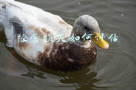 美食城经营损失如何评估；玩忽职守造成损失如何认定