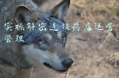 hcip实操(谈谈适合通信人考证的规划)
