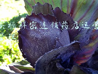 会计主管实操课(财务经理做的财务报表，远比你了解的要漂亮)