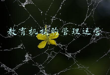 教育机构的管理运营