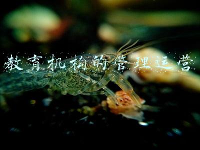 教育机构如何管理(如何依法管理校外培训机构)