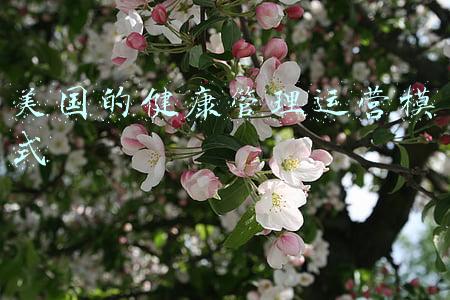 美国上大学模式(88%学生考入哈佛耶鲁常春藤！带你揭秘美国高中留学)
