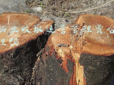 物业管理费收取标准(小区物业费包括哪些？物业费有什么用处？)