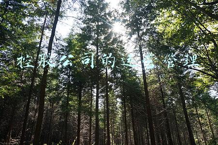 企业集团管控(集团如何做好跨层级下属企业管控)