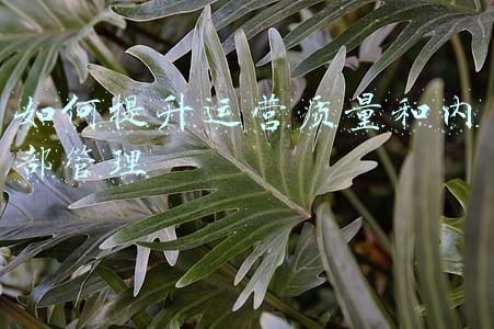 怎样提升运营质量和管理水平(宁夏财政加强基础运行管理提升服务水平)