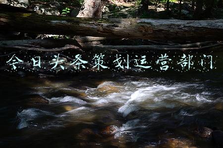 今日头条有哪些部门(字节跳动调整组织架构：头条并入抖音，CFO空缺，继续押宝短视频)