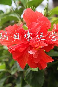 沃尔玛日常运营管理