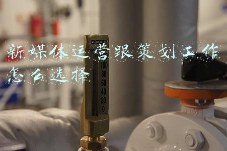 新媒体运营跟策划工作怎么选择