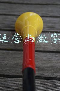 酒店运营与数字管理