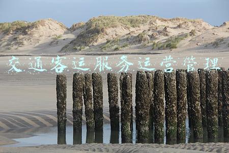 交通客运服务(助力高质量发展！浙江交院牵头制定长三角轨道交通客运服务标准)