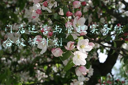 初级会计实务授课计划(熬夜整理！2022初级会计学习计划表+三色笔记，早吃透早占优势)