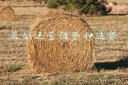 策划运营借势和造势