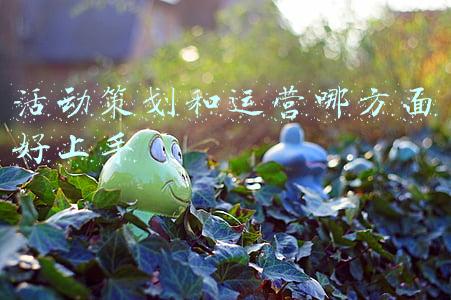 活动策划和运营哪方面好上手
