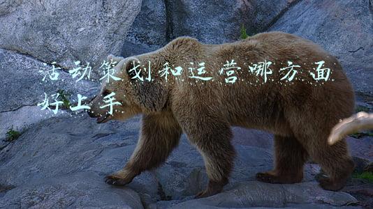 活动策划有哪些方面(活动方案理不清思路？这份营销指南一定要收好)