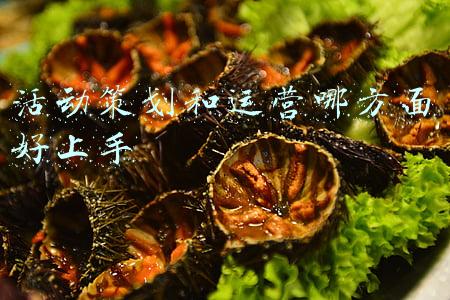 广告策划包括哪些方面(品牌策划方案主要包含哪些内容？)