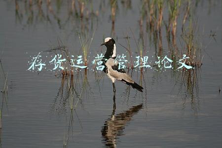存货管理的论文(Jsp+SpringMVC+Mysql实现的进销存库存管理系统附论文及运行视频)
