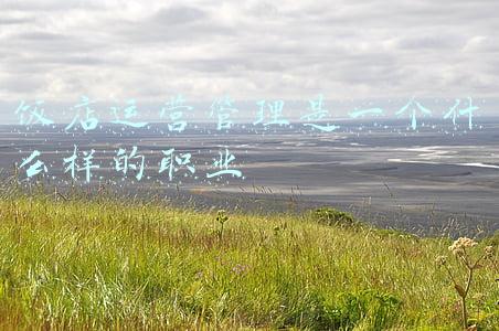 饭店业职业经理人证书(酒店经营管理师证怎么报名？酒店经营管理师是做什么的？前景如何)