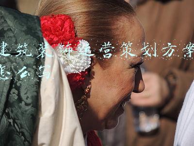建筑装饰运营策划方案怎么写