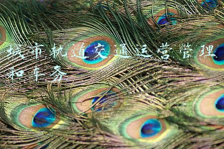 车务(用车企业都需要的政企车务管理平台)