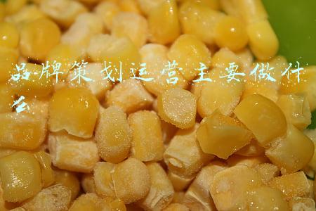 品牌策划要做什么(如何做好企业的品牌策划？)