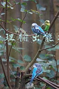 运营管理输出能力题目