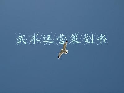 武术运营策划书