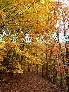 运营主管面试产品经理