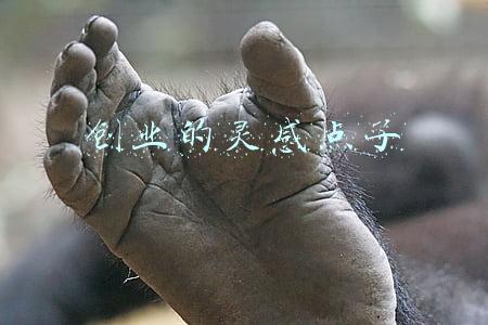 创业的灵感点子